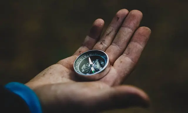 10 Essential Tips for New Artists to Flourish